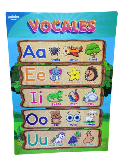 LAMINAS EDUCATIVAS 50X70CM POINTER